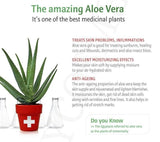 3W 98% aloe vera gel 1+1 (2SET)